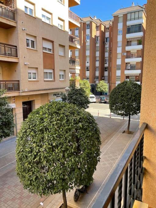 Apartamento Zoco Córdoba Exteriör bild