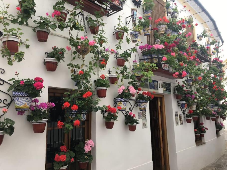 Apartamento Zoco Córdoba Exteriör bild